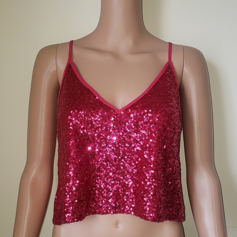 🆕️ EXPRESS Cropped Sequin Cami
